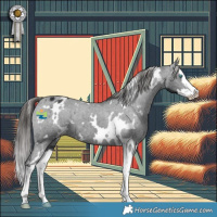 Horse Color:White Spotted Black Splash Varnish 