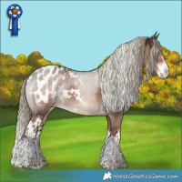 Horse Color:White Spotted Liver Red Dun Sabino Splash Appaloosa 