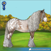 Horse Color:White Spotted Liver Red Dun Sabino Splash Appaloosa 