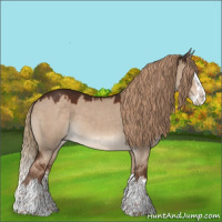 Horse Color:Liver Red Dun Sabino Splash 