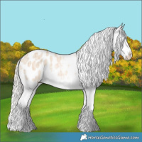 Horse Color:Cremello Dun Sabino Splash Blanket Rabicano Brindle 