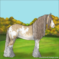 Horse Color:White Spotted Chocolate Palomino Dun Splash Rabicano Brindle 