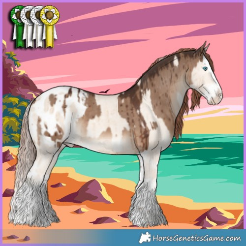 Horse Color:Cremello Dun Splash Appaloosa Brindle  and Liver Red Dun Splash Appaloosa Brindle 