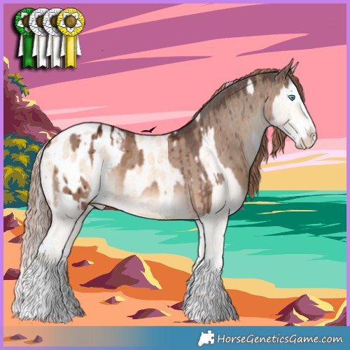 Horse Color:Cremello Dun Splash Appaloosa Brindle  and Liver Red Dun Splash Appaloosa Brindle 