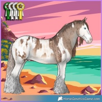 Horse Color:Cremello Dun Splash Appaloosa Brindle and Liver Red Dun Splash Appaloosa Brindle