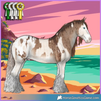 Horse Color:Cremello Dun Splash Blanket Brindle  and Liver Red Dun Splash Blanket Brindle 