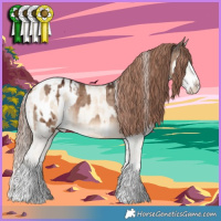 Horse Color:Cremello Dun Splash Appaloosa Brindle and Liver Red Dun Splash Appaloosa Brindle