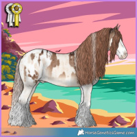Horse Color:Cremello Dun Splash Appaloosa Brindle  and Liver Red Dun Splash Appaloosa Brindle 