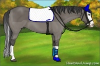 Horse Color:Smoky Grullo Splash