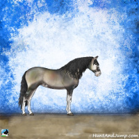 Horse Color:Blue Onyx Sabino Rabicano 