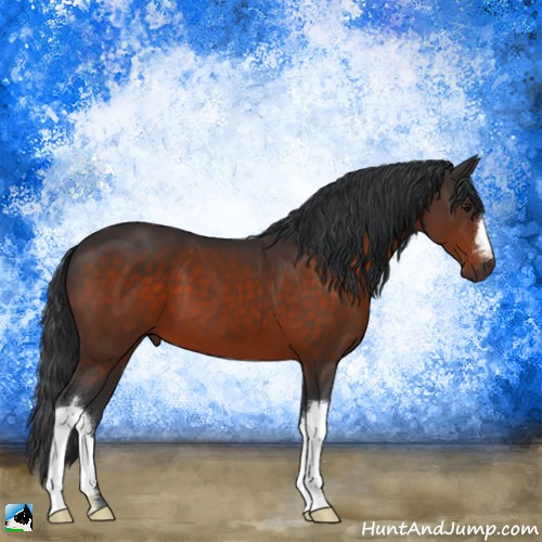 Horse Color:Brown 