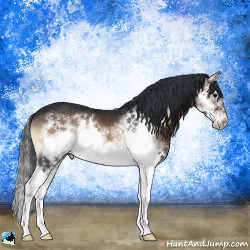 Horse Color:Brown Onyx Splash Frame 