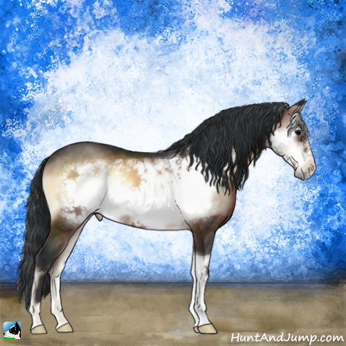 Horse Color:Brown Onyx Frame 
