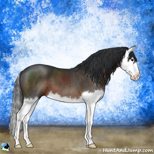 Horse Color:Brown Splash