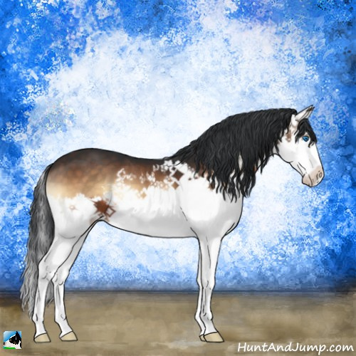 Horse Color:Brown Onyx Splash 