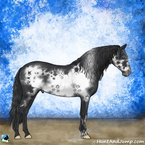 Horse Color:Black Frame Rabicano 