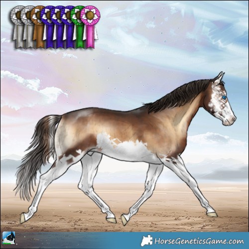 Horse Color:Liver Red Onyx Splash Brindle 