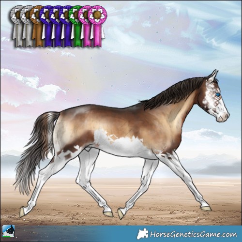 Horse Color:Liver Red Onyx Splash Brindle 