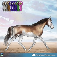 Horse Color:Liver Red Onyx Splash Brindle 