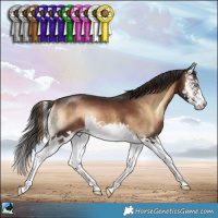Horse Color:Liver Red Onyx Splash Brindle