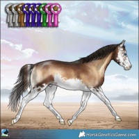 Horse Color:Liver Red Onyx Splash Brindle 