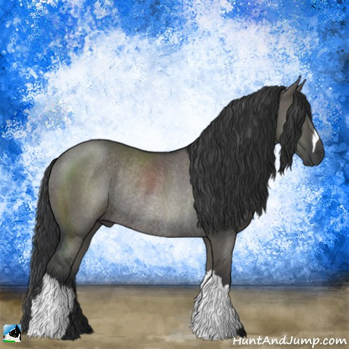 Horse Color:Grullo Rabicano 