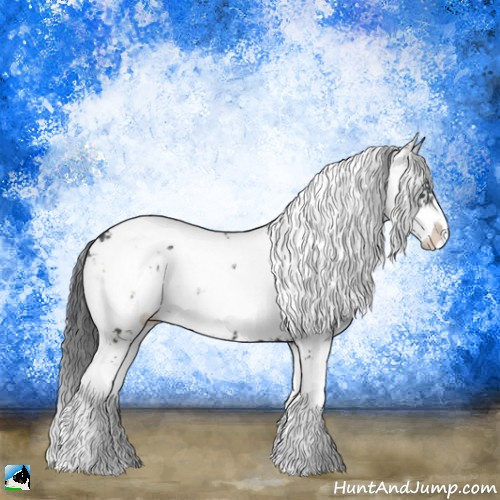 Horse Color:Black Mushroom Sabino Rabicano 