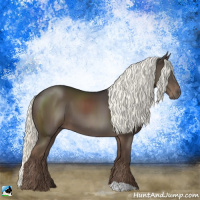 Horse Color:Liver Chestnut Mushroom 