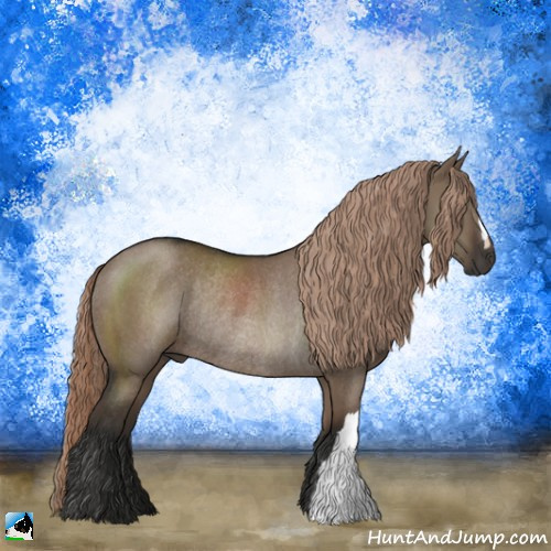 Horse Color:Liver Red Dun Rabicano 