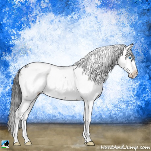 Horse Color:Black Sabino Splash 