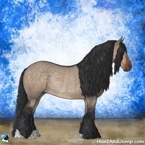 Horse Color:Brown Dun Rabicano 