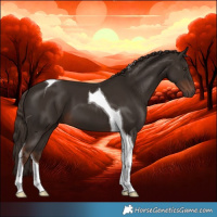 Horse Color:Liver Chestnut Tobiano 