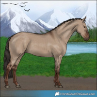 Horse Color:Liver Red Dun Rabicano 
