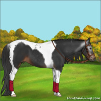 Horse Color:Gray Liver Chestnut Tobiano 