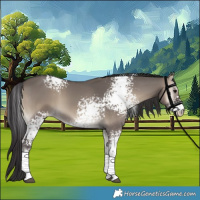 Horse Color:White Spotted Smoky Grullo Onyx Rabicano 