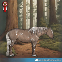 Horse Color:White Spotted Silver Grullo 