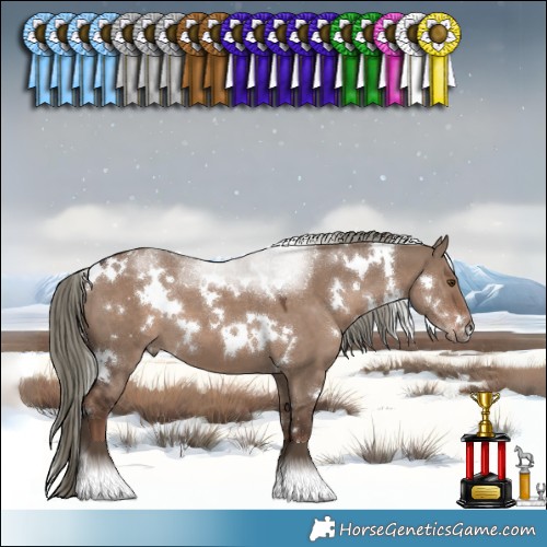 Horse Color:White Spotted Liver Red Dun Mushroom 