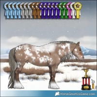 Horse Color:White Spotted Liver Red Dun Mushroom 