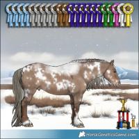 Horse Color:White Spotted Liver Red Dun Mushroom 
