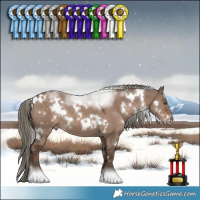 Horse Color:White Spotted Liver Red Dun Mushroom