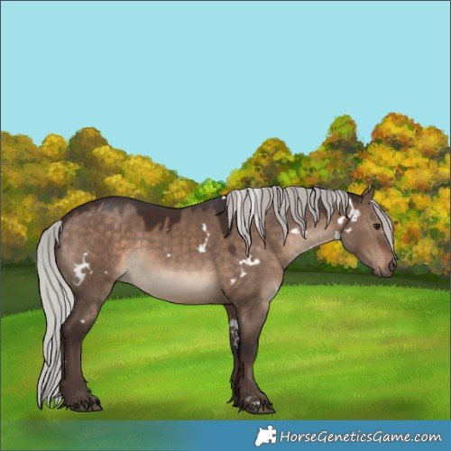 Horse Color:White Spotted Silver Brown Dun 