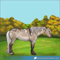 Horse Color:White Spotted Silver Brown Dun 