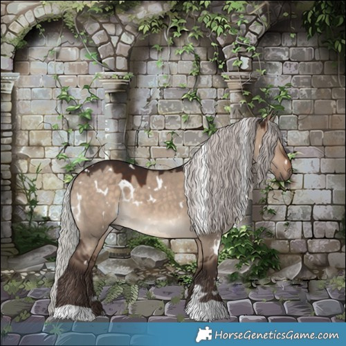 Horse Color:White Spotted Silver Brown Dun 
