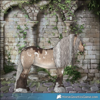 Horse Color:White Spotted Silver Brown Dun