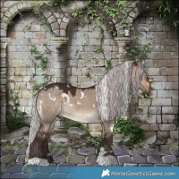 Horse Color:White Spotted Silver Brown Dun 