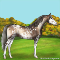 Horse Color:White Spotted Liver Red Onyx Mushroom Splash 