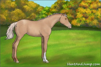 Horse Color:Silver Classic Champagne 