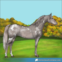 Horse Color:Platinum White Spotted Liver Red Dun 