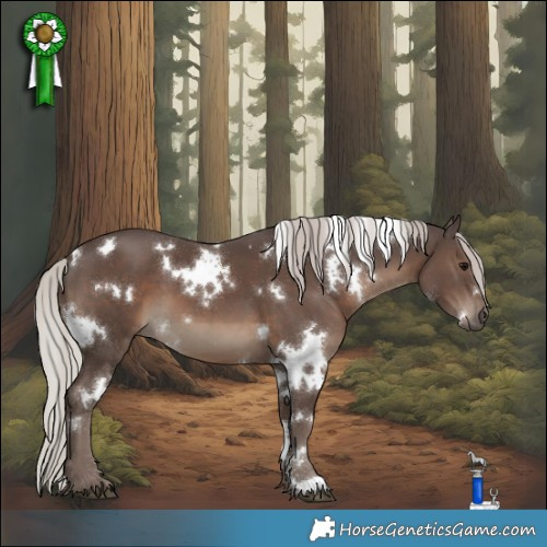 Horse Color:White Spotted Silver Black 