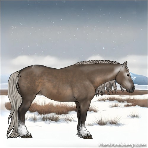Horse Color:Gray Silver Grullo Tobiano 